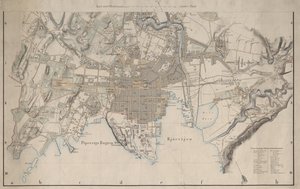 The Map was Published in (1861) and Shows Christiania by I.W.G. Næser